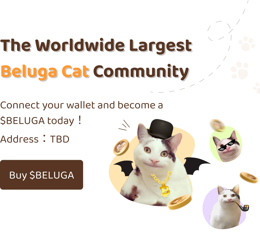 Beluga Cat (@Belugacat_io) / X